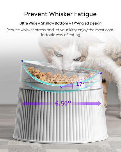 Pet Elevated Cat Bowls