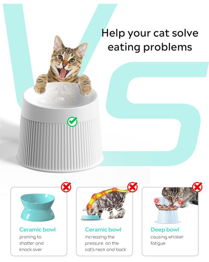 Pet Elevated Cat Bowls