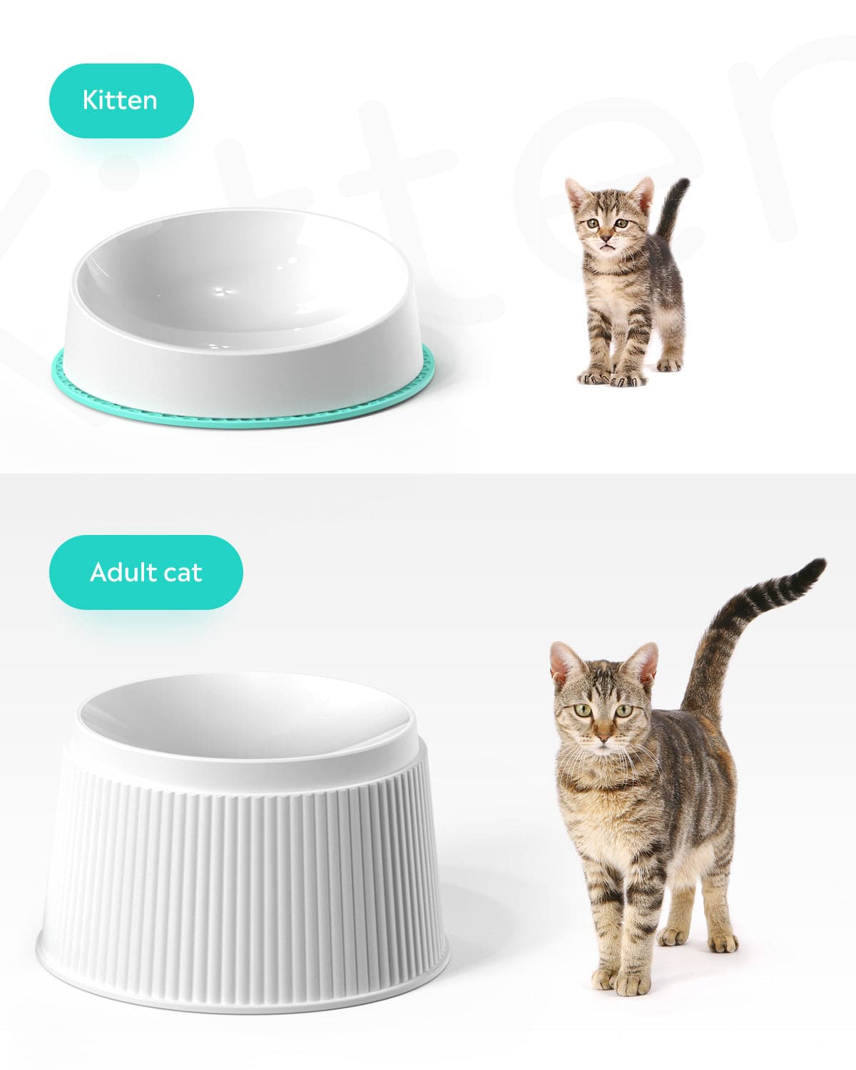 Pet Elevated Cat Bowls