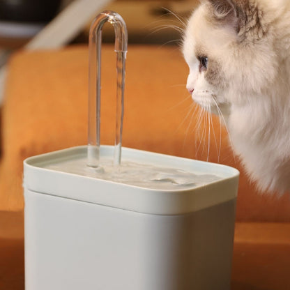 Cat's Favourite Water Fountain