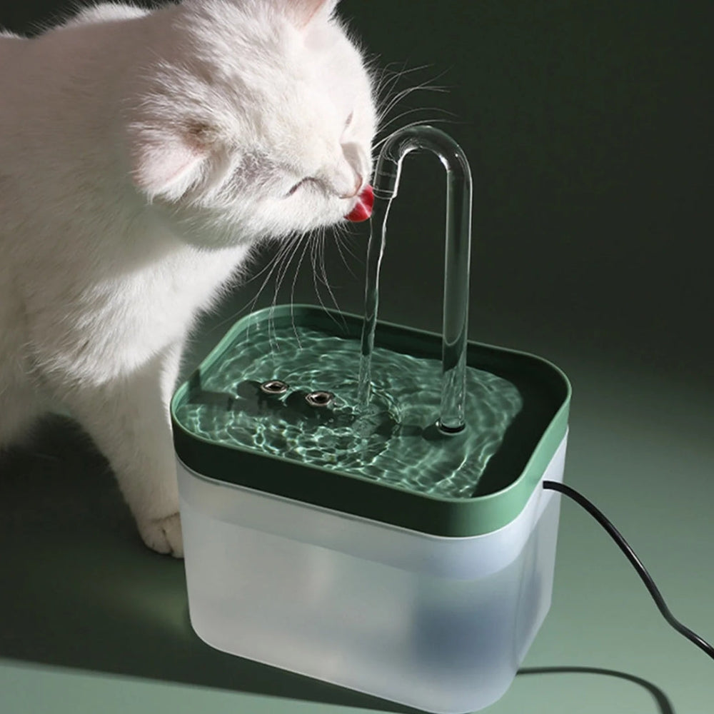 Cat's Favourite Water Fountain