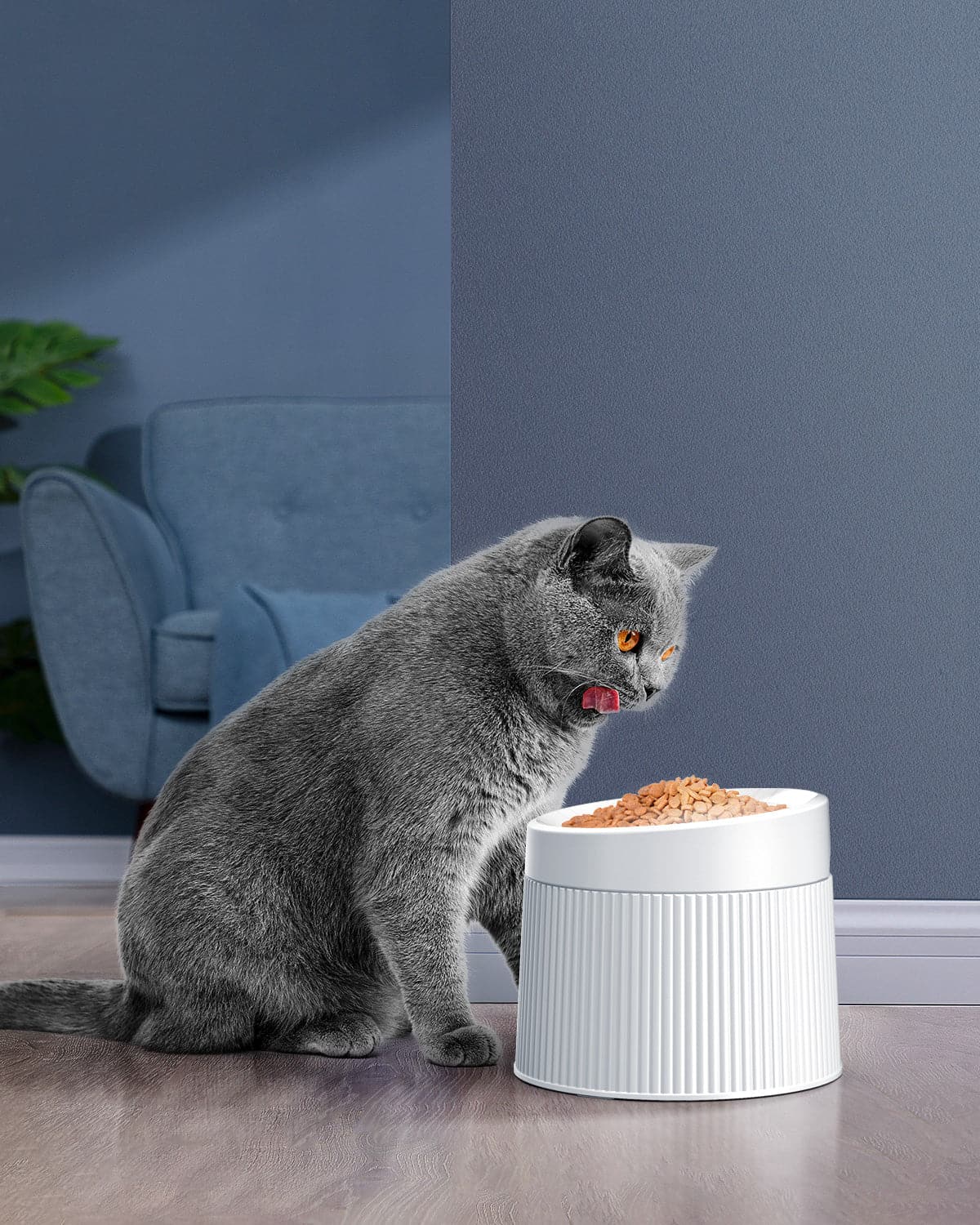 Pet Elevated Cat Bowls